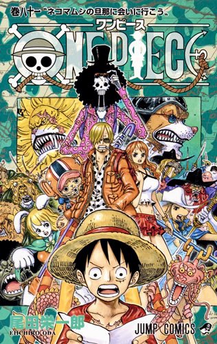 One Piece 81